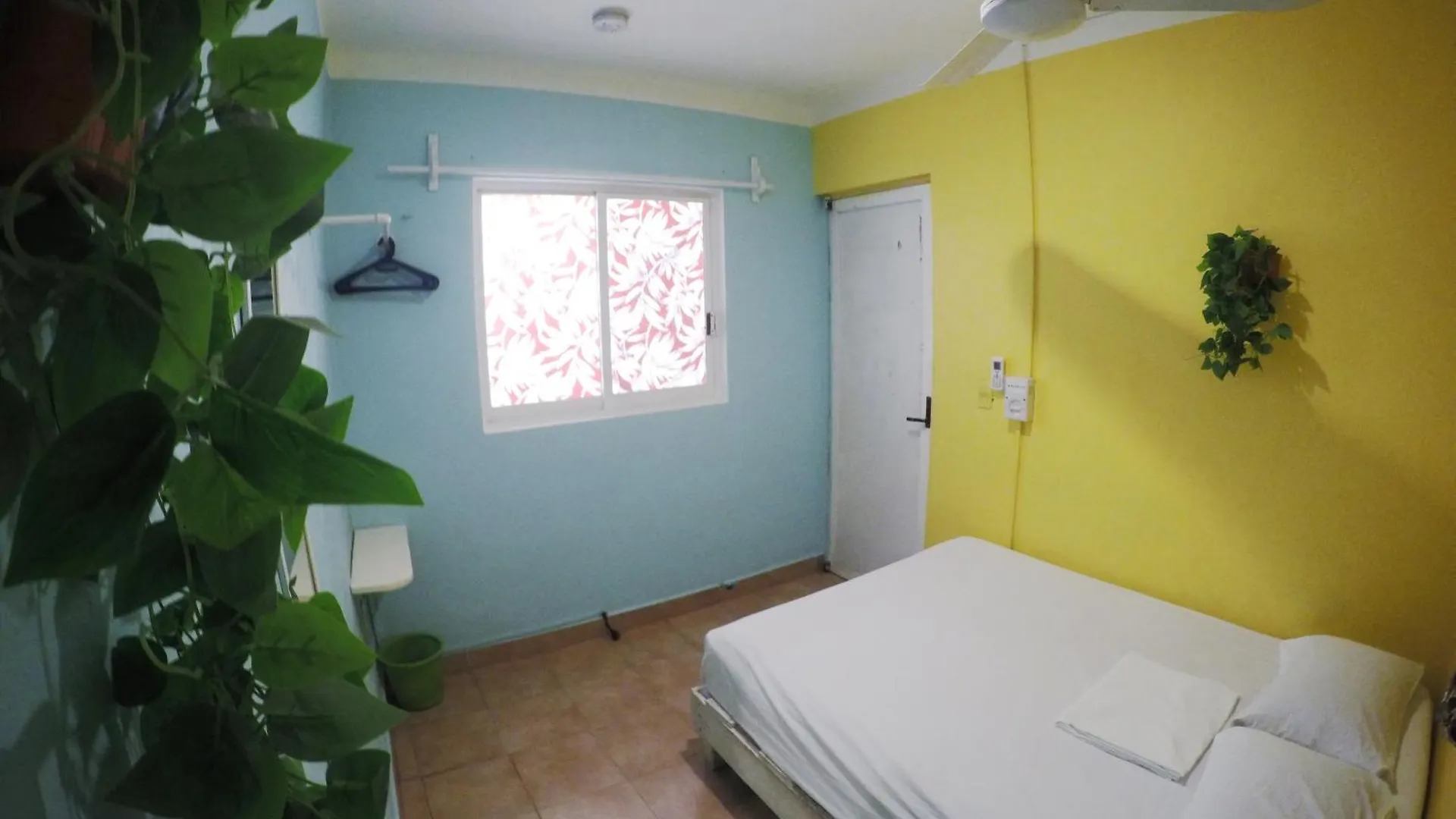 Tres Mundos Hostel Playa del Carmen