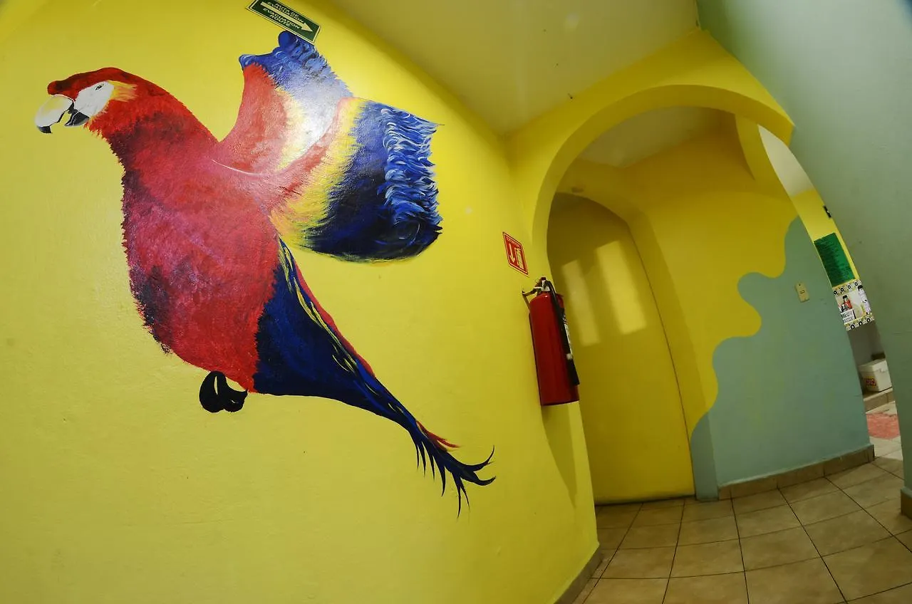 Tres Mundos Hostel Playa del Carmen 0*,  Messico